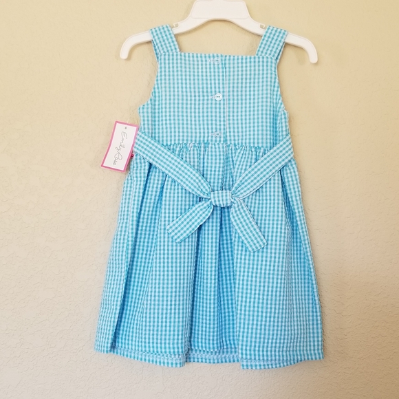 Emily Rose Seersucker Ice Cream Dress 2T - Picture 5 of 9